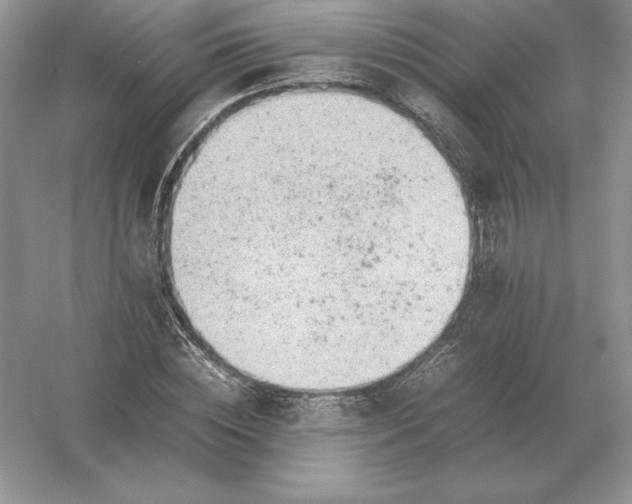 X0000053150828200507251839