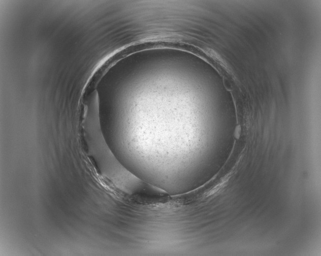 X0000053150830200507251839
