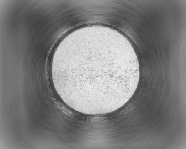 X0000053150832200507251839