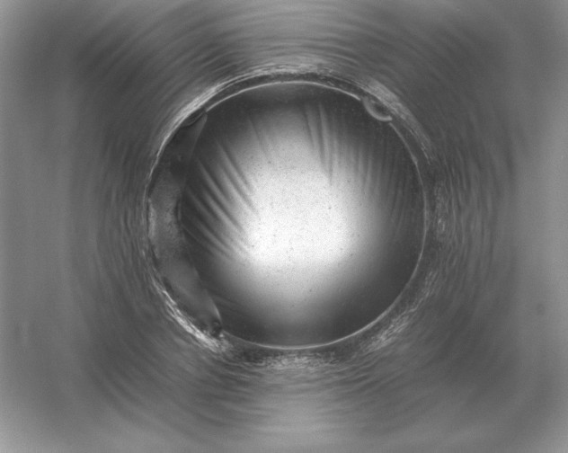 X0000053150834200507251839