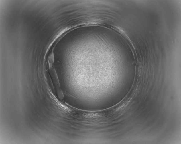 X0000053150835200507251839