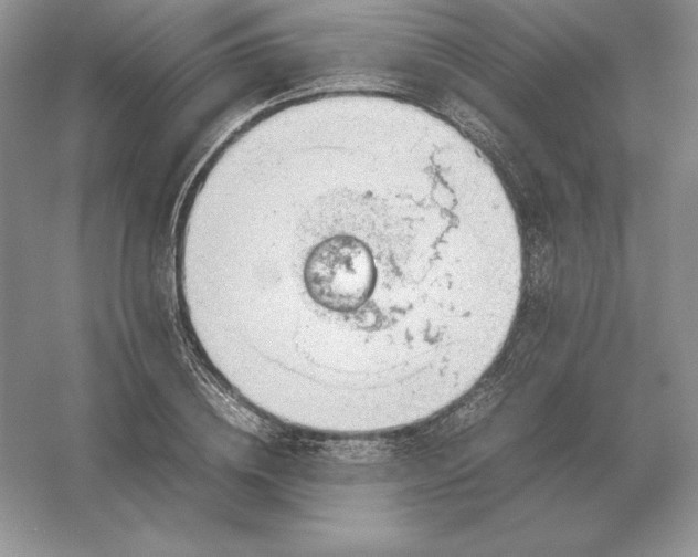 X0000053150836200507251839