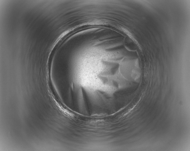 X0000053150837200507251839