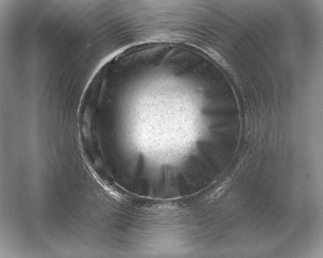 X0000053150838200507251839
