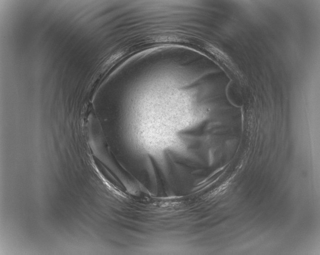 X0000053150841200507251839