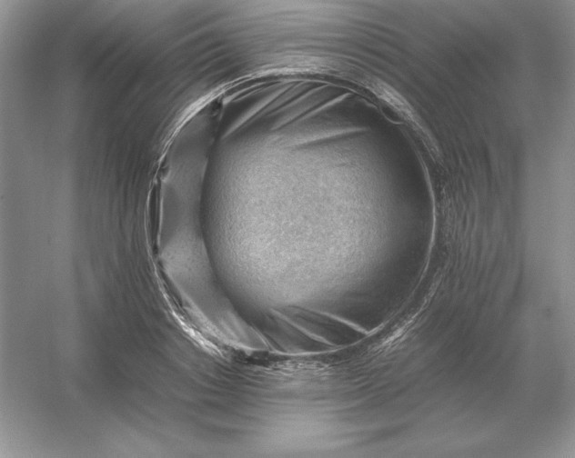X0000053150842200507251839