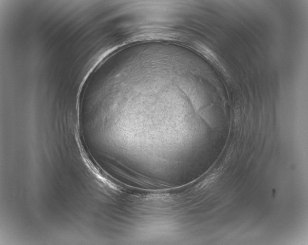 X0000053150844200507251839