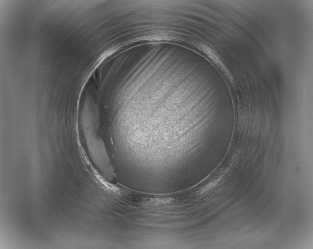 X0000053150845200507251839