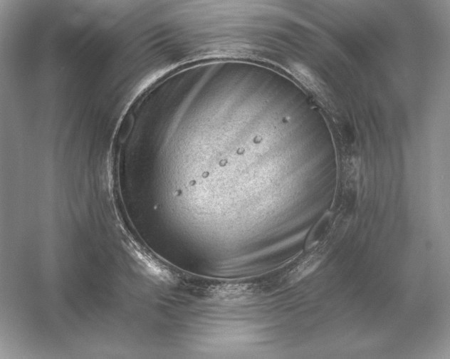 X0000053150846200507251839