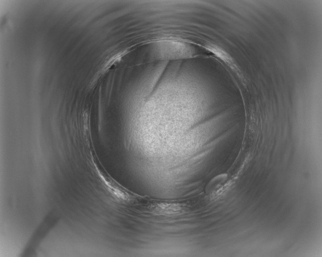 X0000053150849200507251840