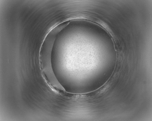 X0000053150858200507251840