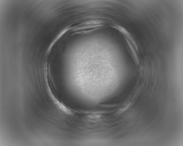 X0000053150859200507251840