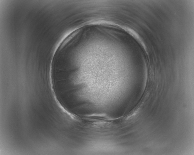 X0000053150863200507251840