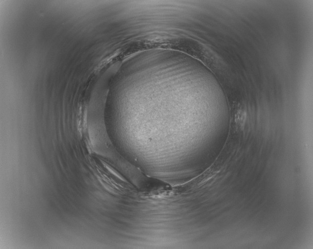 X0000053150868200507251839