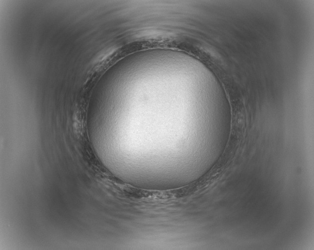 X0000053150869200507251839