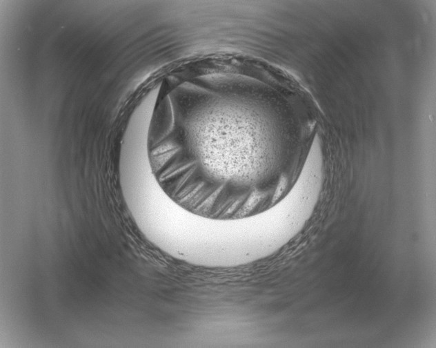 X0000053150871200507251839