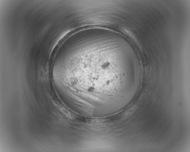 X0000053150875200507251839