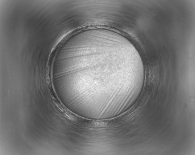 X0000053150878200507251839