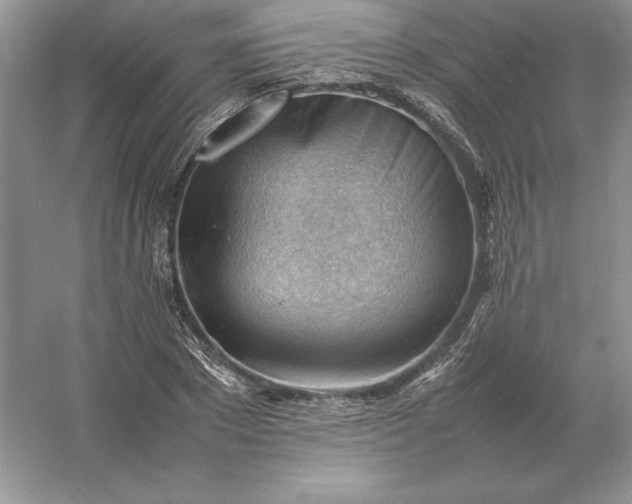 X0000053150881200507251839