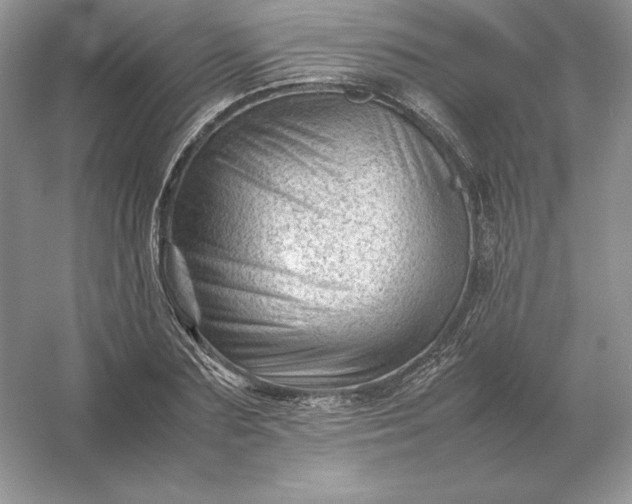 X0000053150883200507251839