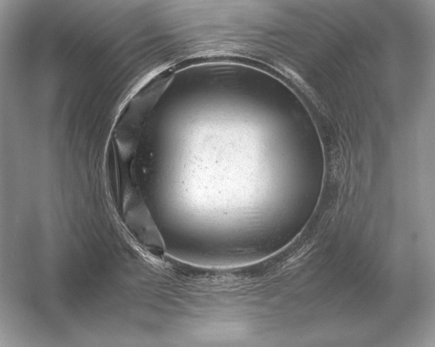 X0000053150885200507251839