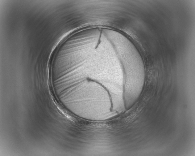 X0000053150886200507251839