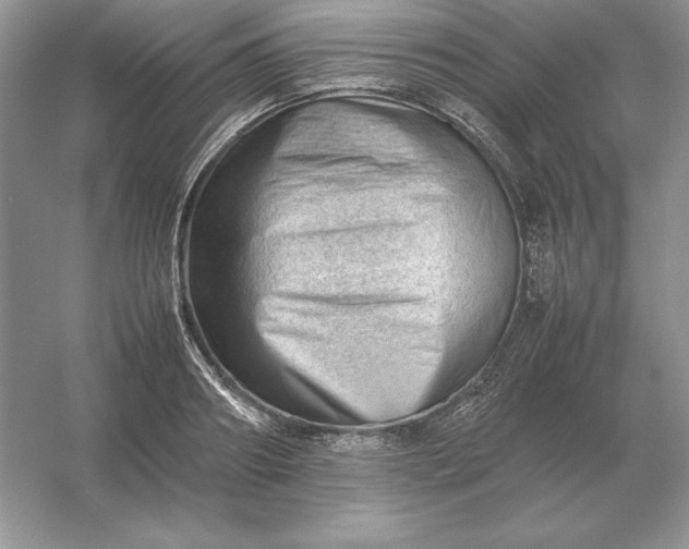 X0000053150890200507251839