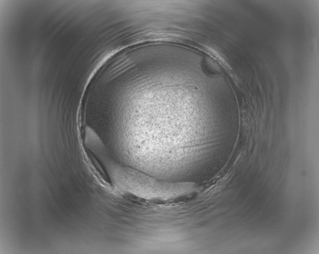 X0000053150891200507251839