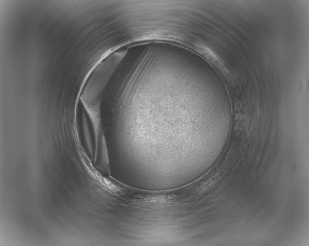 X0000053150892200507251839