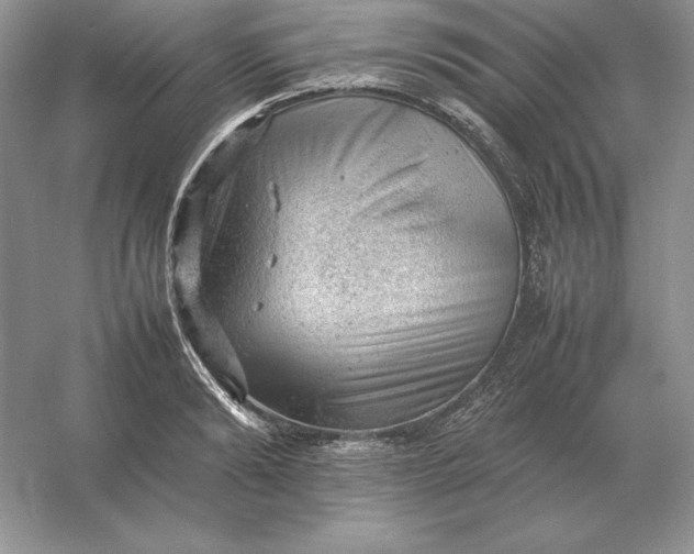 X0000053150894200507251838