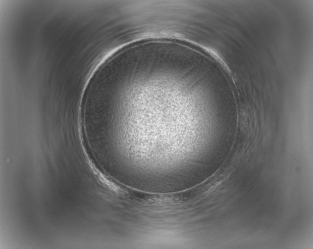 X0000053150895200507251838