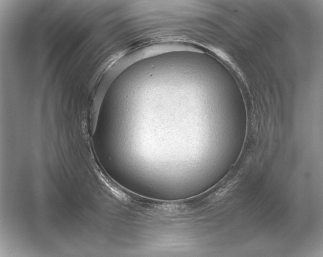 X0000053150897200507251838
