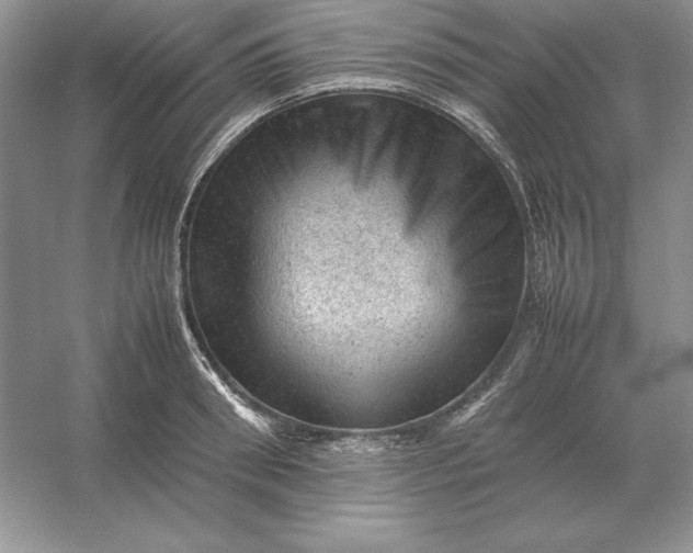 X0000053150898200507251838