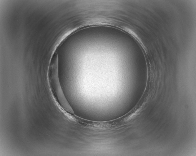 X0000053150901200507251838