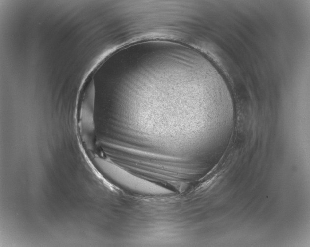 X0000053150902200507251838