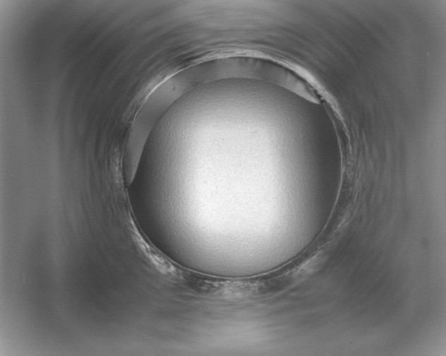 X0000053150905200507251838