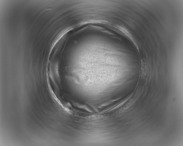 X0000053150906200507251838