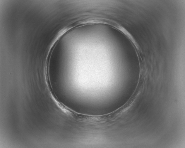 X0000053150909200507251838