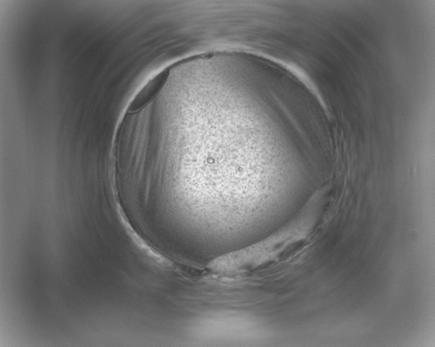X0000053150911200507251838