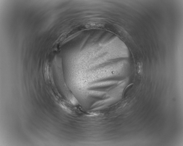 X0000053150915200507251837
