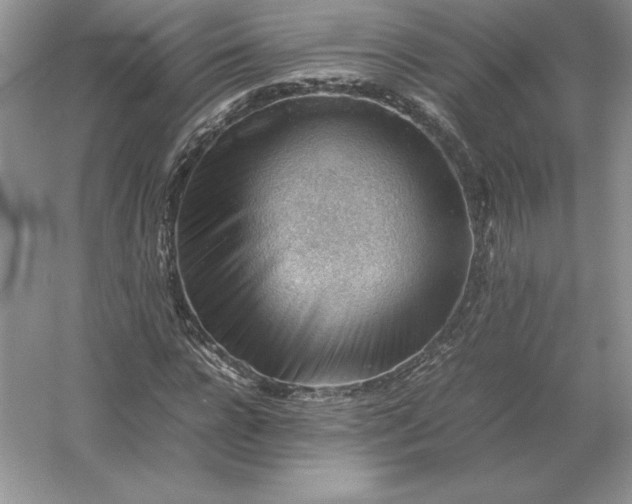 X0000053150920200507251837