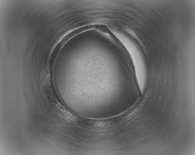 X0000053150923200507251838