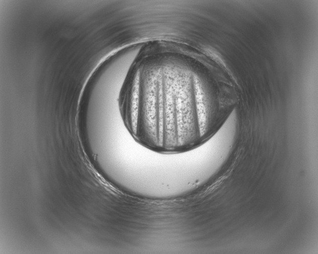 X0000053150924200507251838
