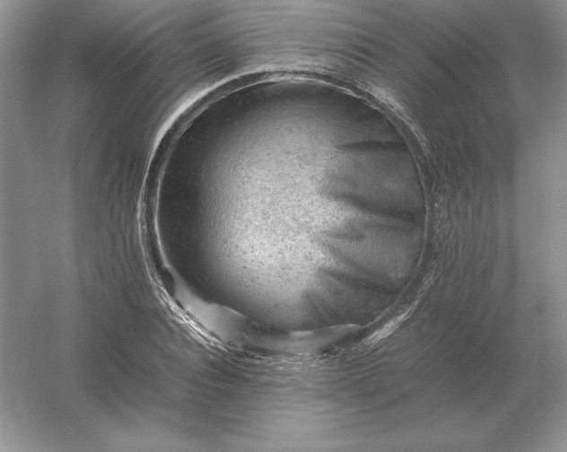 X0000053150928200507251838