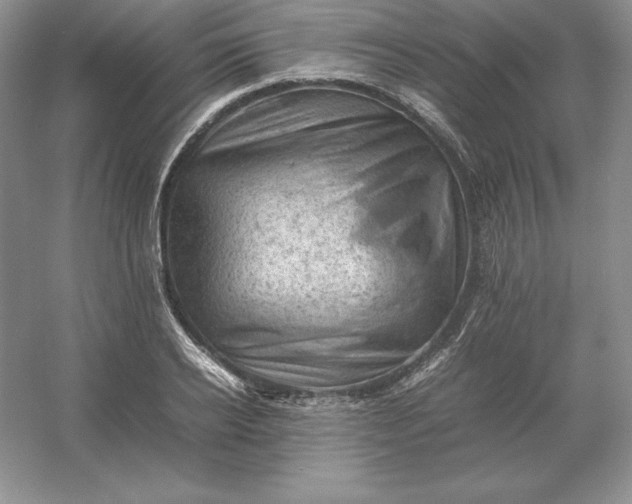X0000053150934200507251838