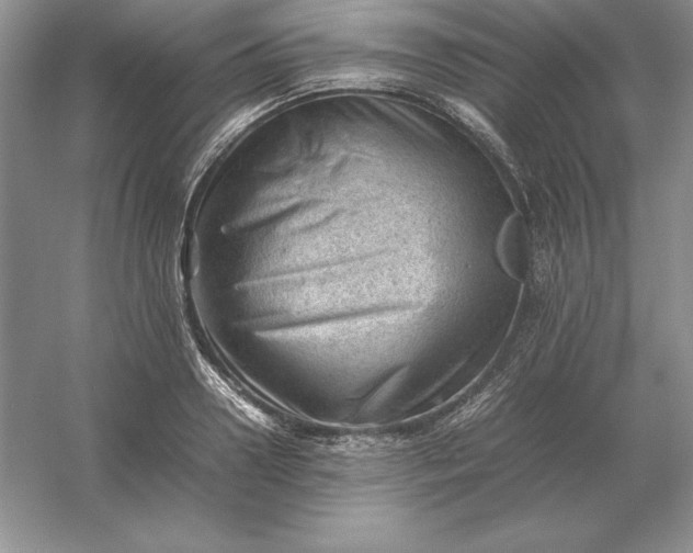 X0000053150938200507251838