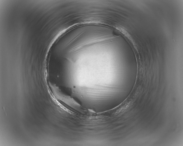 X0000053150941200507251838