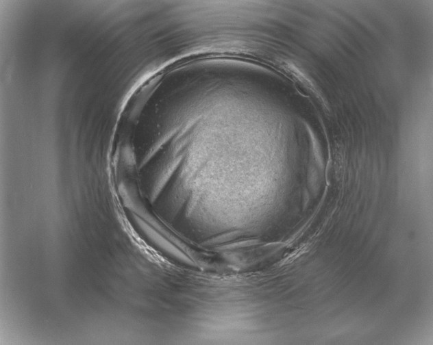 X0000053150944200507251838