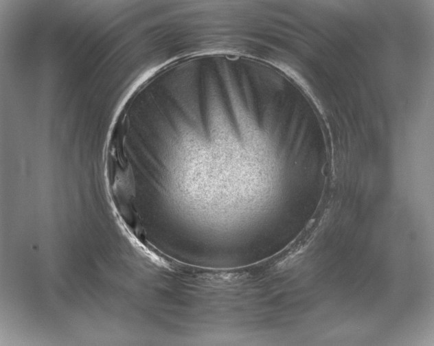 X0000053150949200507251838