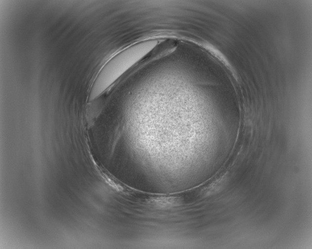 X0000053150953200507251838